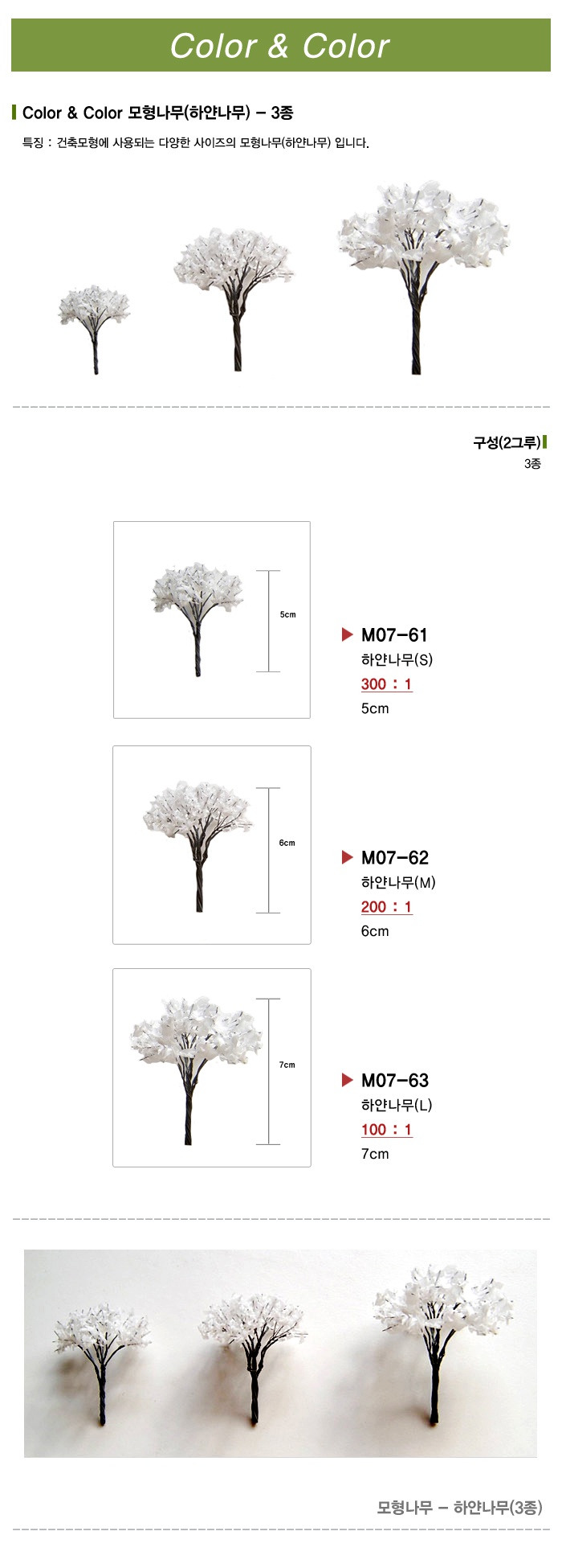 하얀나무-01.jpg